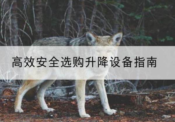 南岸区升降货梯厂家推荐-*安全选购升降设备指南