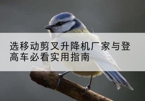 南岸区电动升降机厂家-选移动剪叉升降机厂家与登高车必看实用指南